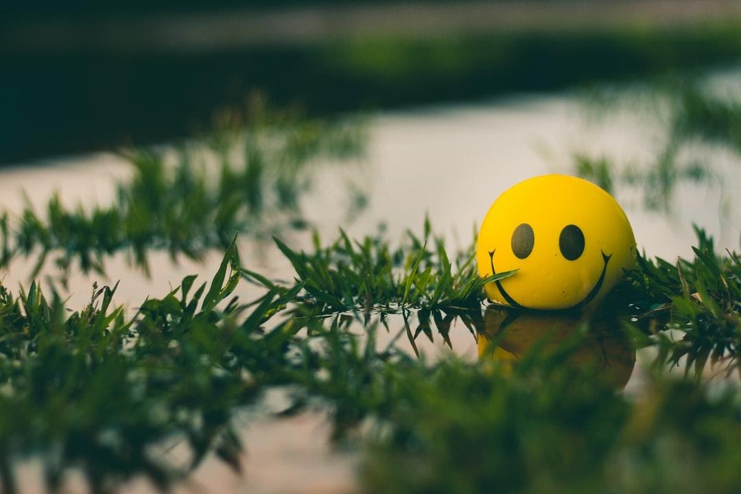 rawpixel-com-196464-unsplash